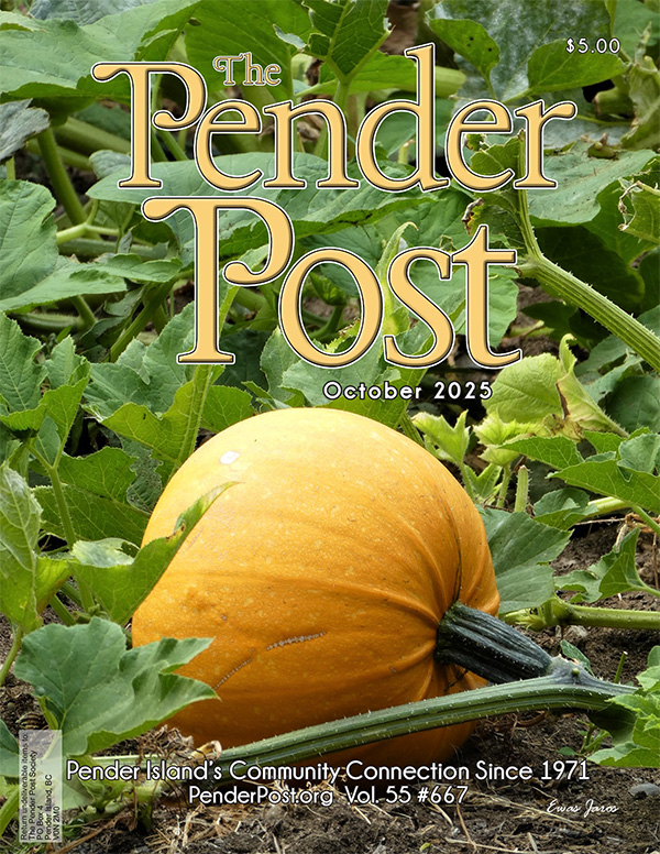 cover-2510-cover-600