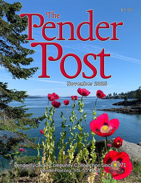 Cover - November 2025