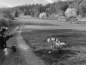 2026-05-GOLF-coursepic.jpg