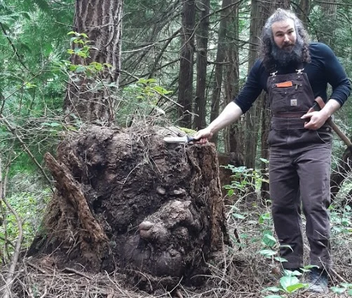 tal_engel_forest_workshop.jpg