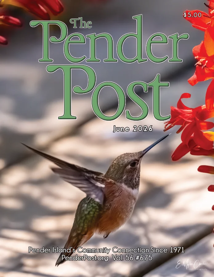 2026 05 cover web