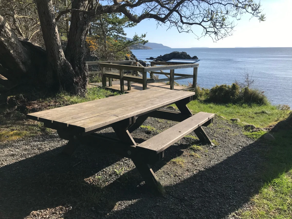 June 2026 picnic view