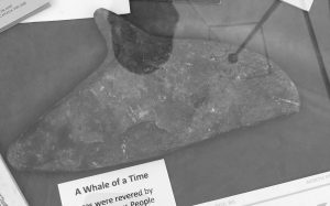 08 26 POD Whale carving BW