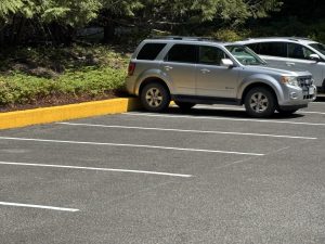 Parking lot lines