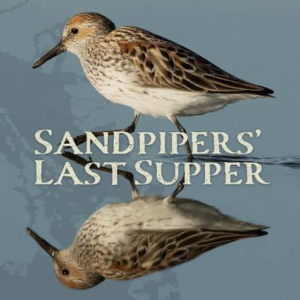 SandpipersLastSupper